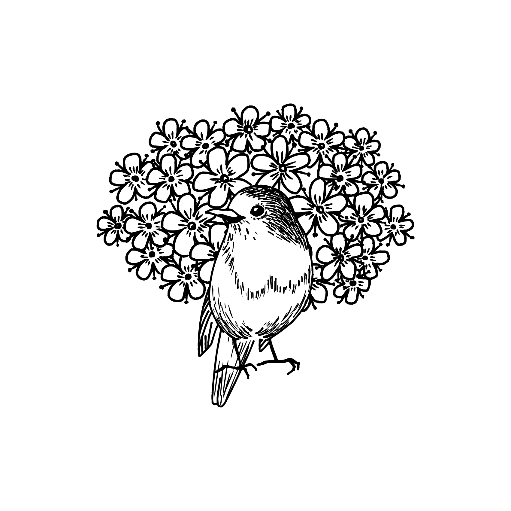 robinnorris logo data 02
